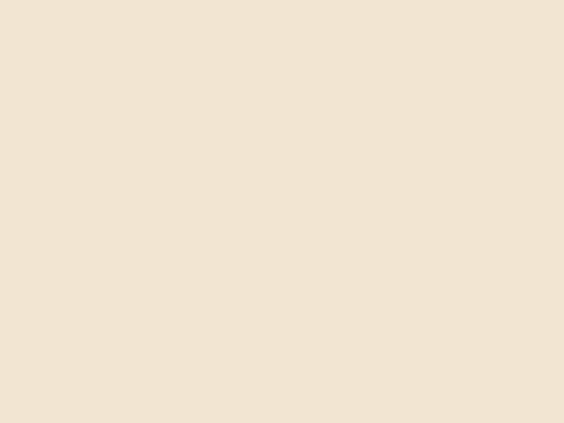 Bisque 503